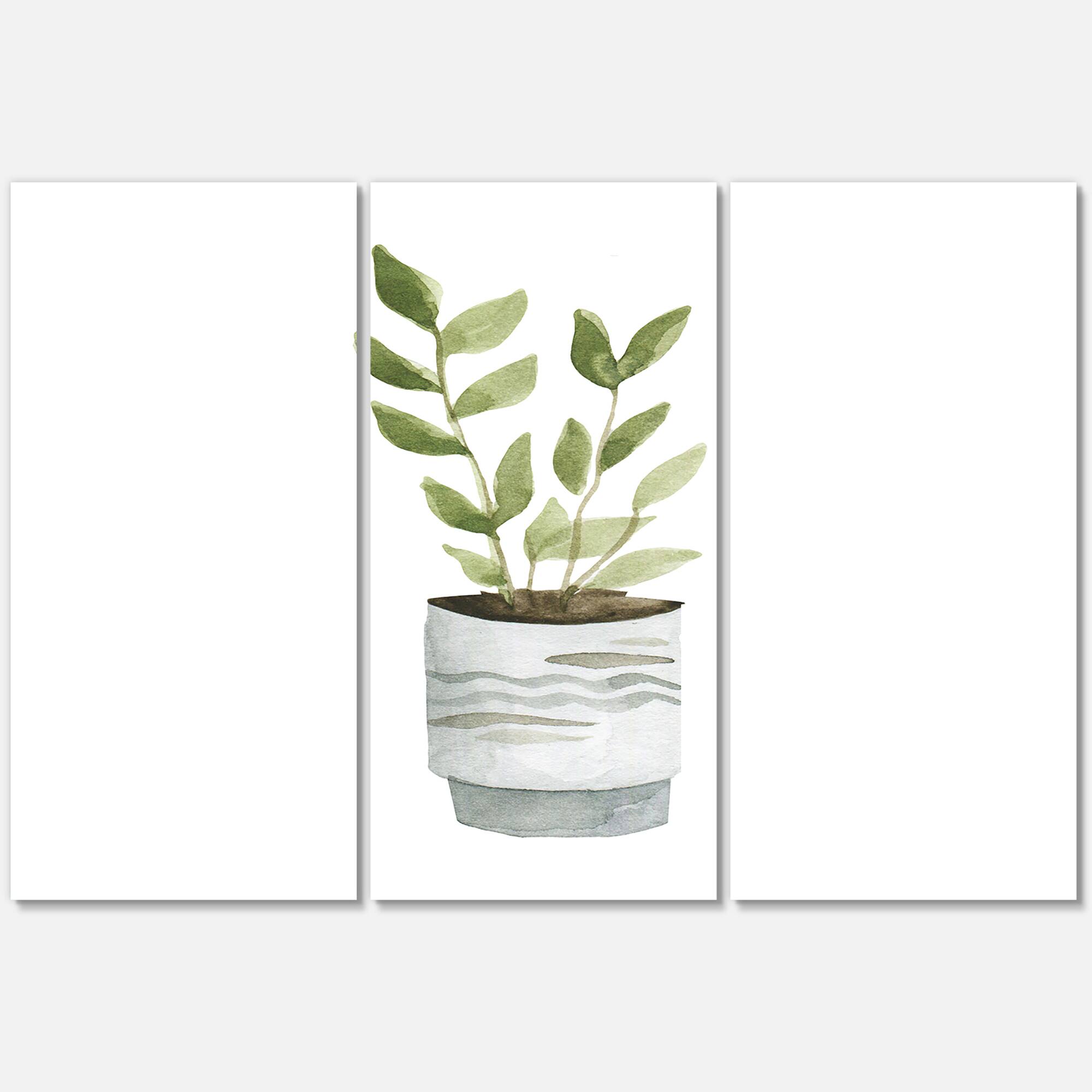 Designart - Indoor Green Home House Plants II